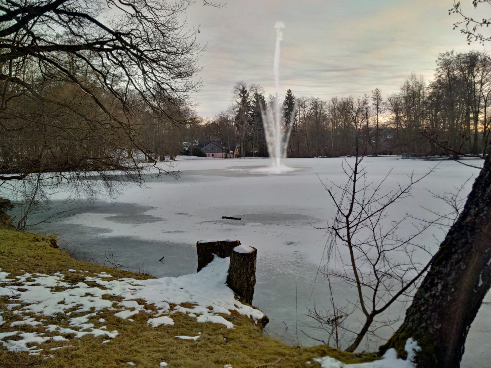 Stadtparkteich im Winter